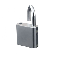 Vente en gros de cadenas de porte à empreinte digitale biométrique sans clé pour bagages de voyage tsa cadenas à combinaison
