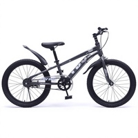 Mini vélo 20 pouces pour enfants, VTT, livraison directe d'usine, styles populaires de VTT