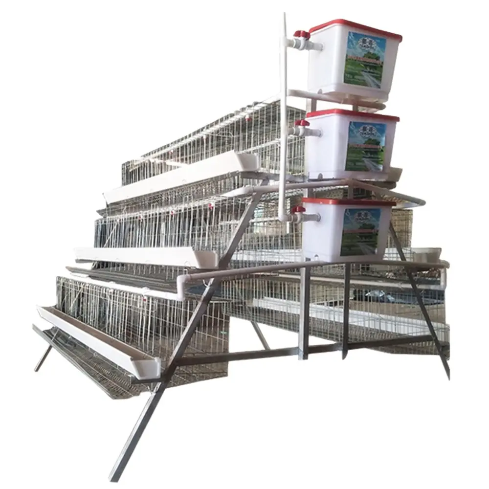 Labor Saving Kenya Poultry Farm Chicken Battery Layer Cages For Laying Hens