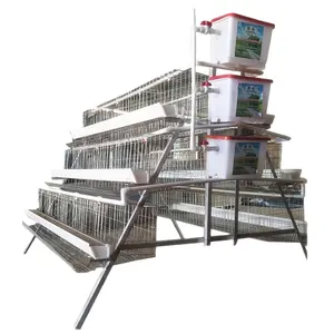 Cages de couche de batterie de poulet de ferme avicole du Kenya d'économie de travail pour des poules pondeuses