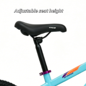 Vélo Enfant Nouveau Style 2026 en Acier Carbone Haute Performance pour Garçons et Filles – Disponible en Gris, <span class=keywords><strong>Bleu</strong></span>, Blanc, Rose - Product Image 4