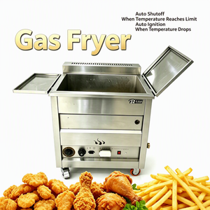 OURUITE Friteuse Commerciale Verticale 25L GPL/Gaz Naturel avec Thermostat Automatique 0-250°C, Poêle à Frire Épaissie Haute Performance, Nouveauté pour Hôtels - Product Image 1