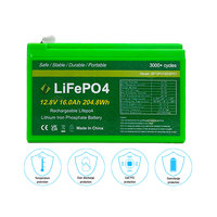 OEM ODM 12V 16Ah LiFePO4 Paket Baterai Isi Ulang Solid State dengan BMS 3000+ Siklus Energi Surya
