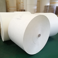 Rouleaux de papier kraft pour tableaux blancs, personnalisés, duplex C1S GC1 FBB, fond gris, papier couché PE pour gobelets, bols et boîtes à emporter