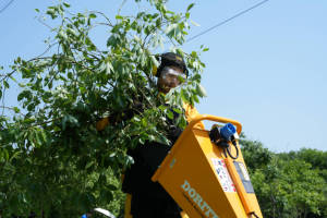 Sistema di Triturazione <span class=keywords><strong>Elettrico</strong></span> DR-GS-65SE 230mm Mobile per Legno Fine Trituratore di Foglie - Product Image 3