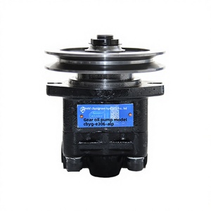 Bomba de Engranajes Hidráulica XTCG CBYG-E306-ALP, Eficiente y para Aplicaciones Industriales Conexión Múltiple - Product Image 1
