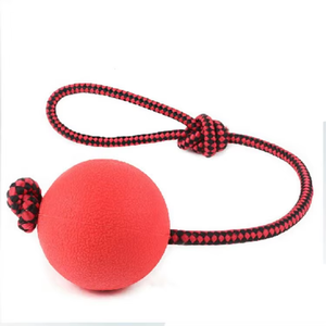2025 Wholesale Promotional High <b>Bounce</b> TPR Toy Chew Rubber Pet Dog <b>Ball</b> for Dog - Product Image 2