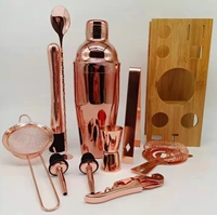 Ensemble de barman de luxe en acier inoxydable coloré de 11 pièces, durable, avec support en bambou, coffret cadeau de voyage, 750 ml