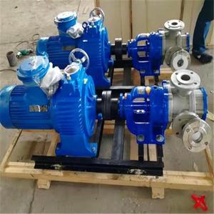 Bomba de Aislamiento NYP Utilizada para la Entrega de Resina, Melaza y Pegamento - Product Image 1