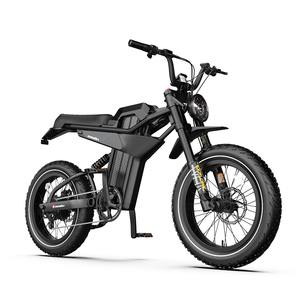<span class=keywords><strong>Bici</strong></span> <span class=keywords><strong>Elettrica</strong></span> 750W Spedita dagli USA, Batteria al Litio Rimovibile, Ruote 20*4.0 Pollici, <span class=keywords><strong>Bici</strong></span> <span class=keywords><strong>Elettrica</strong></span> Fuoristrada di Alta Qualità - Product Image 1