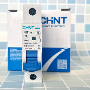 Interruptor de Circuito Chint 1P de 125A, <span class=keywords><strong>Diferencial</strong></span> de Precio de Fabricante, Múltiples Tamaños Personalizados - Product Image 5