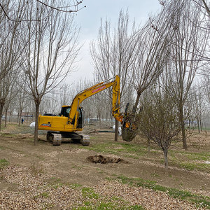 Shandong Factory <b>Tree</b> Spade Skid Steer & Excavator 6 Ton Suitable 800kg <b>Weight</b> <b>Tree</b> Transplanter Machine - Product Image 3
