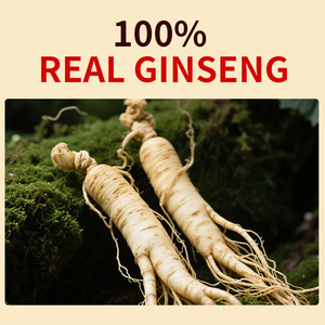 Özel Marka <span class=keywords><strong>Ginseng</strong></span> Kökü Enerji İçeceği ISO HACCP Sertifikalı Toptan OEM <span class=keywords><strong>Ginseng</strong></span> Köklü Oral Sıvı - Product Image 2