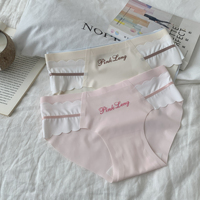 Culotte Bikini Femme en Soie Glacée Sans Traces, Taille Moyenne, Fine, Effet Seconde Peau, Unie, Quotidienne