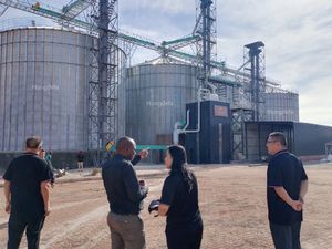 मक्का गेहूं सोयाबीन अनाज भंडारण साइलो - Product Image 5