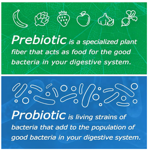 OEMプライベートラベル 天然ハーブエキス粉末 大人・男性/女性用サプリメント 100%ビーガンオーガニック 免疫力向上 - Product Image 4
