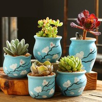 Bac à plantes succulentes d'intérieur, 12 pièces, plantes en pot pour décoration de bureau, accessoires de jardin, pot de fleur coloré
