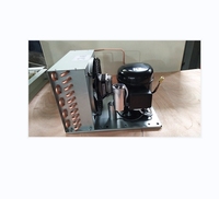 Unité de condensation de compresseur de réfrigération R134a ou R404a pour petit réfrigérateur Pièce essentielle pour une réfrigération efficace