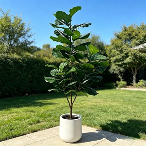 Árbol Artificial de Ficus Lyrata en Maceta Blanca para Decoración de Interiores, Hojas de Alta Simulación, Planta de Plástico - Product Image 5