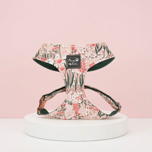 Premium Cotton <b>Dog</b> Harness Comfortable Cat Harness Elegant Fashion Style Adjustable Buckle Closure Personalized Pet Accessory - Product Image 1