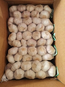 กระเทียมสดสีขาวบริสุทธิ์กระเทียมสดสีขาวธรรมชาติในจีน - Product Image 4