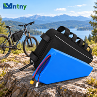 Paket Baterai Segitiga Deep Cycle 72V 10Ah 15Ah 20Ah 18650 21700 BMS 1500 Siklus untuk Sepeda Listrik Skuter