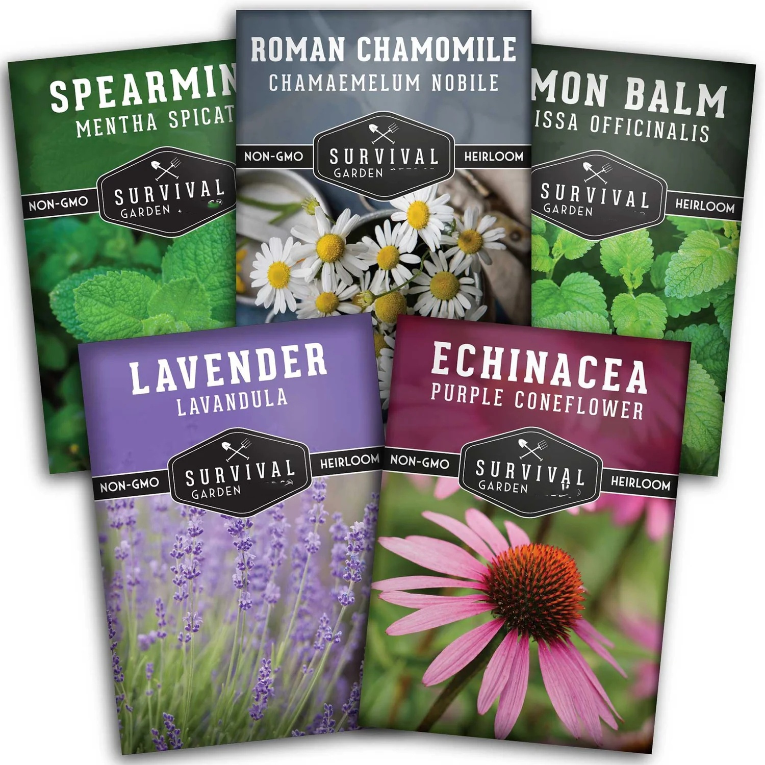 How to Choose the Best Garden Seed for Your Needs: A Complete Buying Guide
