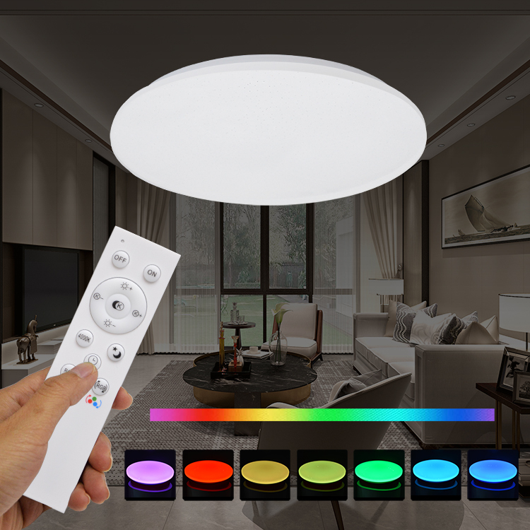 LED Ceiling Light