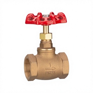 Válvula de Compuerta Roscada de Acero Inoxidable 304 de Fabricación Profesional, Válvula de Retención Unidireccional para Control de Agua a Alta Presión, OEM Personalizado - Product Image 2