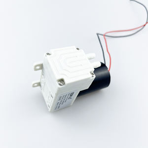 DF-04 BLDC Micro diaphragme pompe à vide à air <span class=keywords><strong>380kpa</strong></span> sans entretien avec une durée de vie plus longue DC12V/24V-pour pompes - Product Image 6