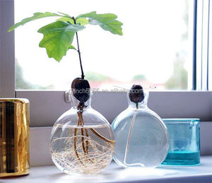 Nuevo Florero <span class=keywords><strong>de</strong></span> Vidrio para Germinar Bellotas <span class=keywords><strong>de</strong></span> <span class=keywords><strong>Aguacate</strong></span>, Florero <span class=keywords><strong>de</strong></span> Propagación <span class=keywords><strong>de</strong></span> Bellotas, Cultiva Aguacates y Árboles <span class=keywords><strong>de</strong></span> Roble, Floreros <span class=keywords><strong>de</strong></span> Cristal Minimalistas para el Hogar - Product Image 3