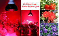 Lampe de Thérapie par Lumière Rouge, Ampoule Combo 54W 18 LED 660nm Rouge et 850nm Infrarouge Proche Compatible Corps et Visage