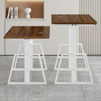 Table élévatrice électrique à moteur simple/double, bureau intelligent pour ordinateur, bureau pour e-sport, bureau à domicile, pieds en métal