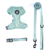 Ensemble Harnais et Laisse pour Chien à Motif Patte Réglable avec Conception Personnalisée, Matière Respirante, Vente Directe Usine