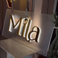 Logotipo personalizado Mini retroiluminado titanio oro resina letras Acero inoxidable LED puerta cabeza publicidad signo iluminado cartelera