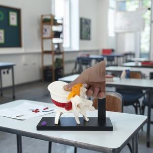 Modelo Anatómico <span class=keywords><strong>de</strong></span> <span class=keywords><strong>Esqueleto</strong></span> <span class=keywords><strong>Humano</strong></span> con Hernia Discal Lumbar para Estudiantes <span class=keywords><strong>de</strong></span> Medicina - Product Image 3