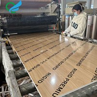 Panel de Pared de PVC con Clasificación de Resistencia al Fuego B1, Impermeable, Acústico, Laminado, de 5-18 mm, Color Personalizado para Interiores de Casas y Hoteles