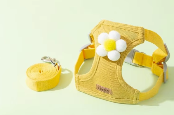 yellow flowers full of vitality