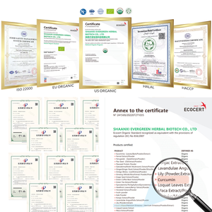 Campione gratuito all'ingrosso estratto di curcuma in polvere integratore alimentare curcumina in polvere - Product Image 4