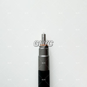 Chất lượng cao giá cả hợp lý phổ biến Đường Sắt phun 33800-4a710 338004a710 28229873 cho Hyundai/Kia 2.5 crdi - Product Image 6