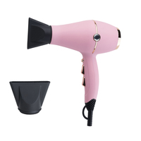 Sèche-cheveux ionique à moteur AC professionnel le plus populaire puissant sèche-cheveux de salon d'hôtel 2100W avec technologie céramique