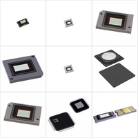 Circuits intégrés spécialisés DLP5534AFYKQ1