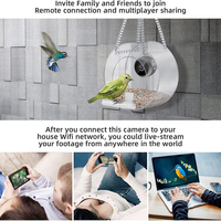 Mangeoire à oiseaux intelligente en plastique transparente, écologique, à charge manuelle, avec caméra WIFI 720P, pour l'extérieur, modèle OEM Quadrate.