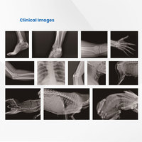 Equipo de diagnóstico veterinario portátil Imágenes DE RAYOS X de mano para cabeza humana Extremidades de pecho y dientes de animales Huesos Cráneos