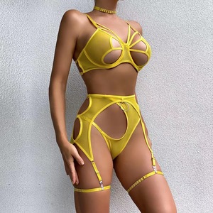 5 Piezas de Lencería Sexy y Divertida con Diseño de Mariposa, Corsé de Malla de Verano, Moda de Lujo Americana y Europea, Disfraces Sexys de Cosplay - Product Image 1
