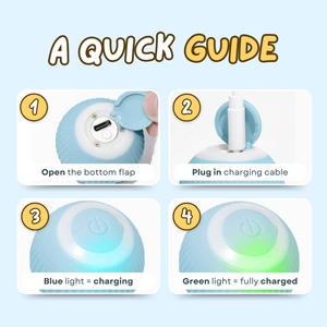 Jouet pour animaux de compagnie, balle roulante rechargeable par USB, jouet d'exercice et de poursuite pour chatons et chiens - Product Image 6