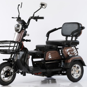 Venta Directa de Fábrica, Triciclo Eléctrico de 3 Ruedas y 48V, Tipo Carrocería Abierta, con Certificación EEC para Pasajeros - Product Image 6