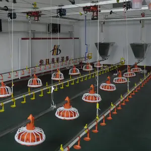 Chica de <span class=keywords><strong>precio</strong></span> bajo de alta calidad de aves de corral automática sistema de alimentación de pollo pan alimentador - Product Image 1