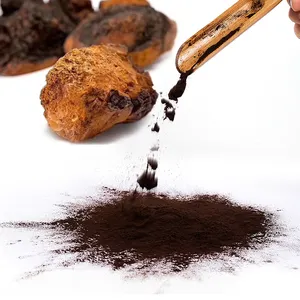 OEM Cheap Price Chaga Mushroom Extract 10:1 Powder Capsule 30% Polysaccharides Enhance Immunity