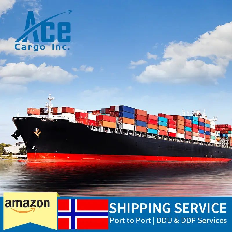 Cửa đến cửa vận chuyển hàng hóa đại lý vận chuyển hàng hóa Giao Nhận Vận tải đường biển Trung Quốc để Norway biển DDP chi phí vận chuyển